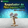Regulador de Nitrógeno NTT 1000 a 4000psi